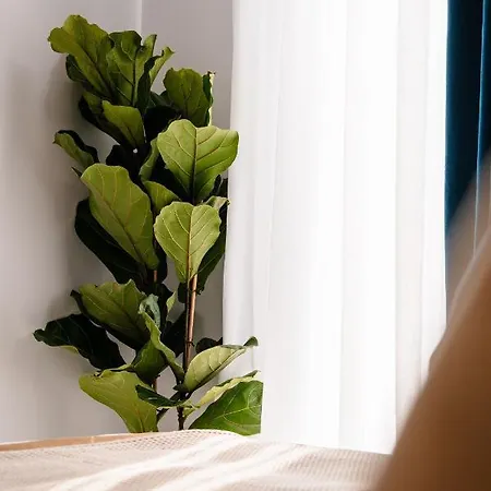 아파트 Margaret Luxury