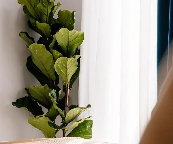 Apartamento Margaret Luxury